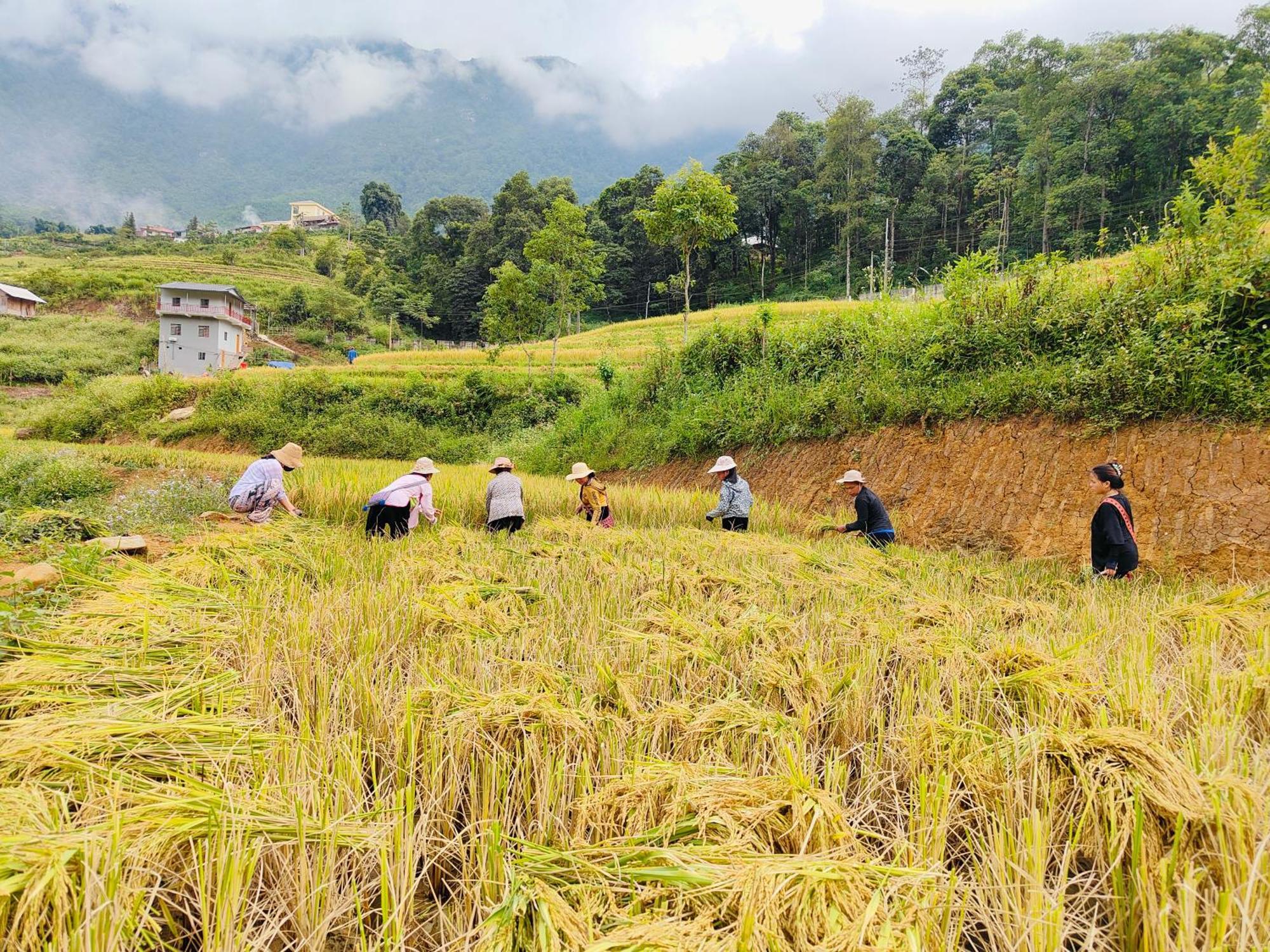 Hmong Wooden Home Sa Pa Buitenkant foto